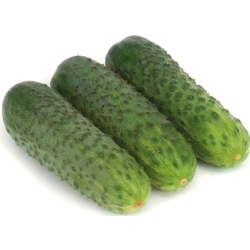 Ogórek Karaoke  250 N